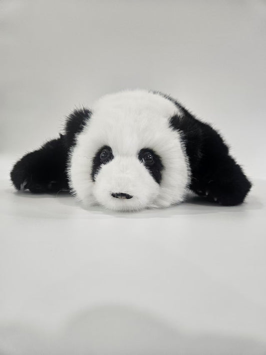 Hua Hua baby panda plush three months old front view