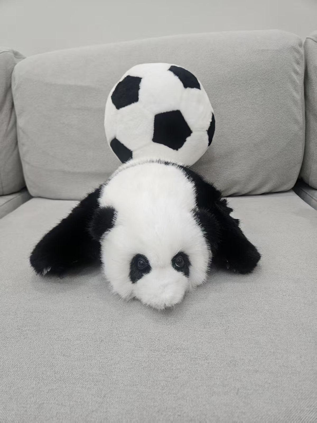 Baby panda football gift set lifestyle display
