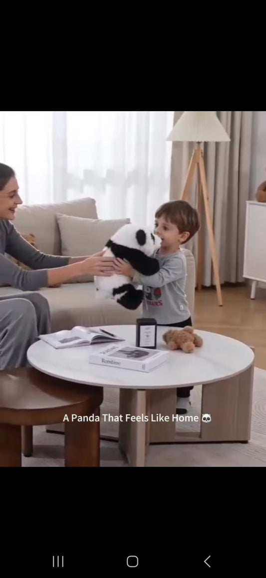A Panda That Feels Like Home