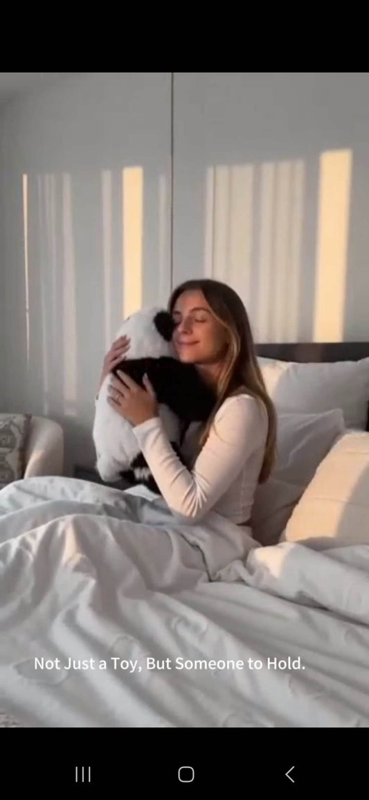 Not Just a Toy, But Someone to Hold