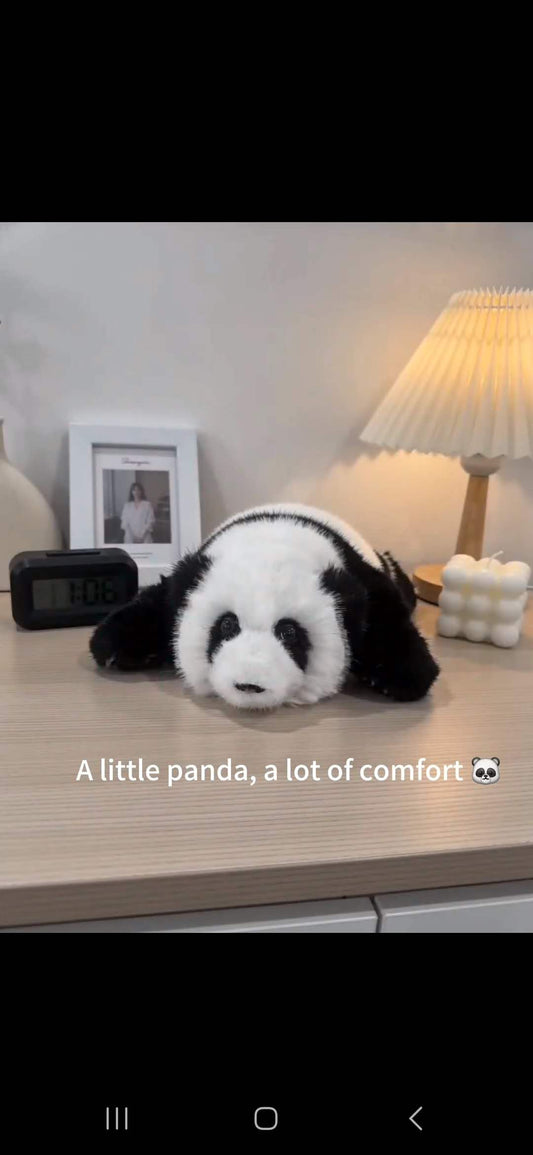 A little panda, a lot of comfort