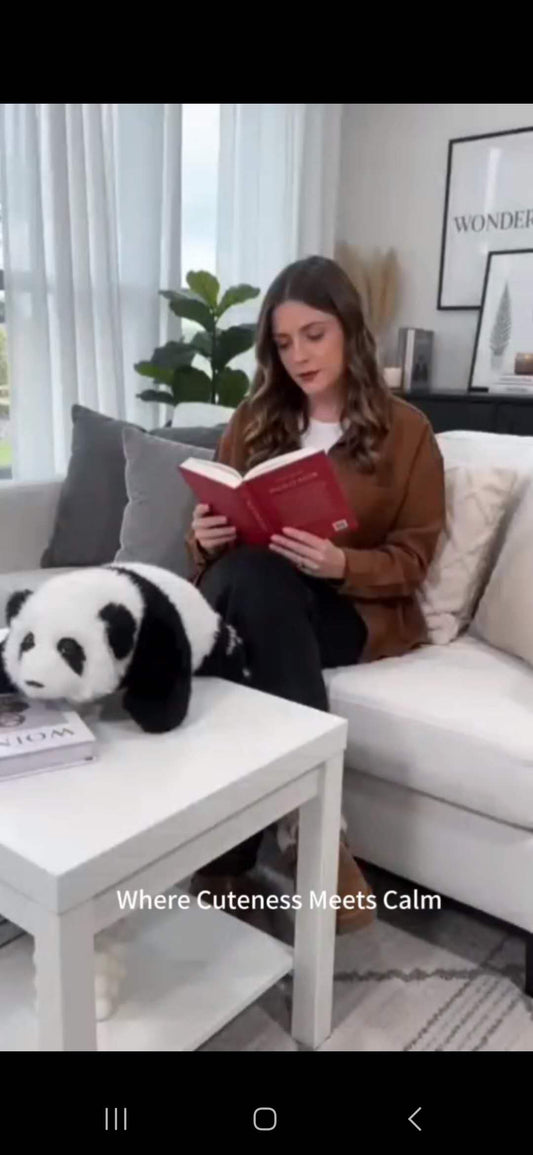 Where Cuteness Meets Calm