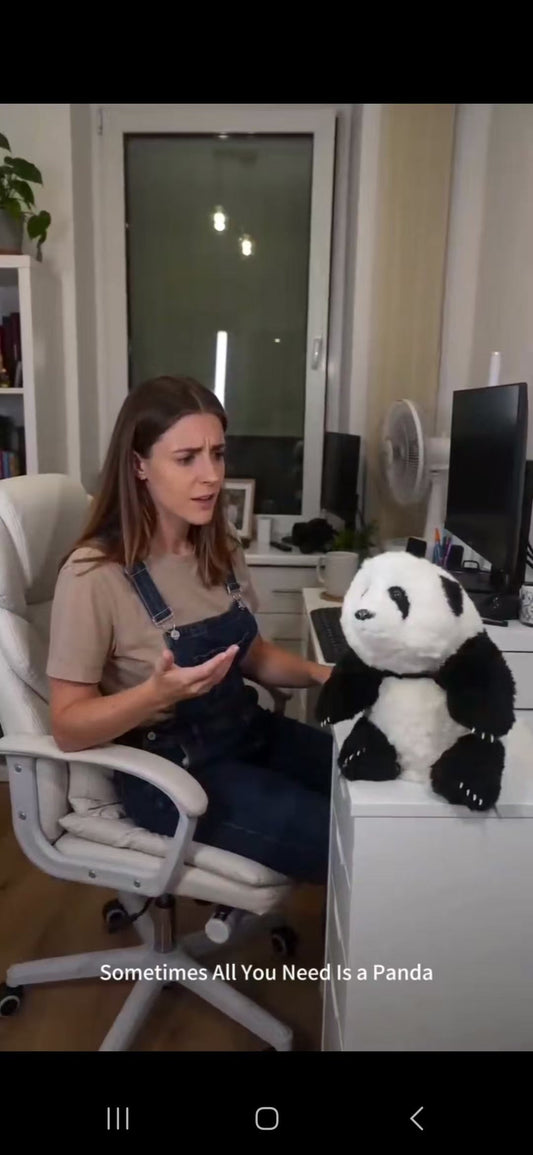 Sometimes All You Need Is a Panda