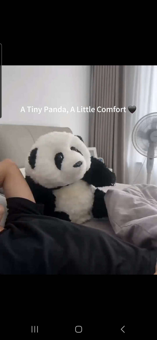 A Tiny Panda, A Little Comfort