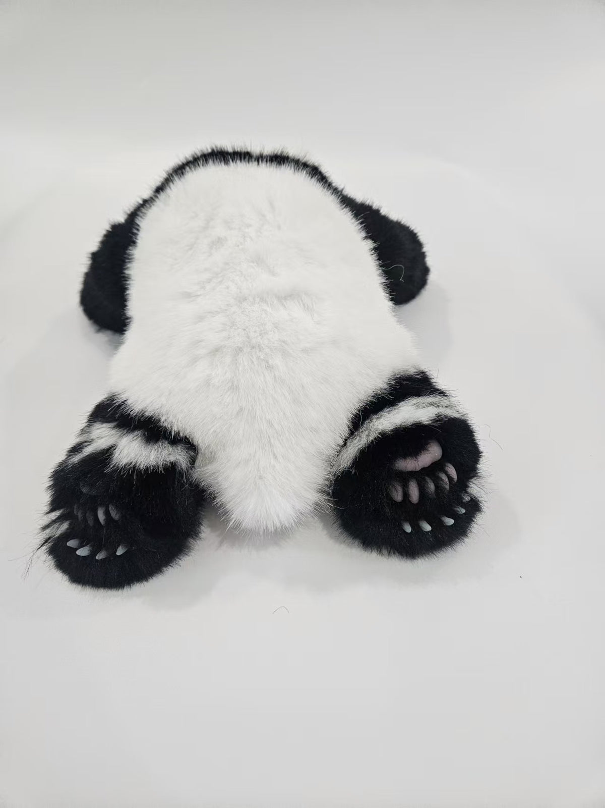 Hua Hua three months old panda plush lifestyle photo