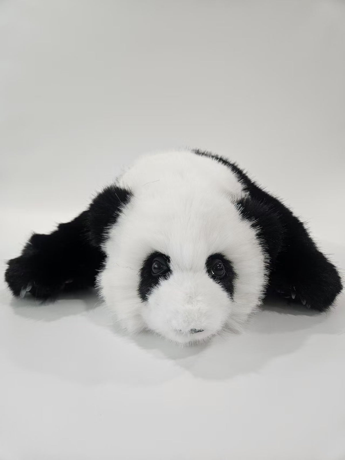 Hua Hua panda plush size comparison