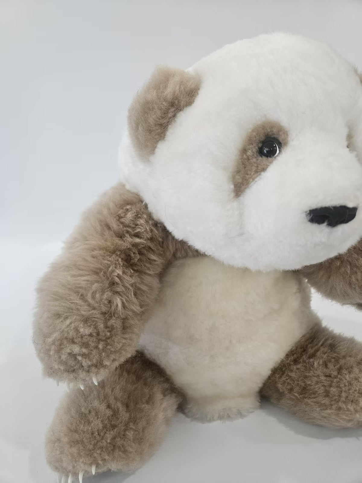 Qi Zai brown panda plush lifestyle display