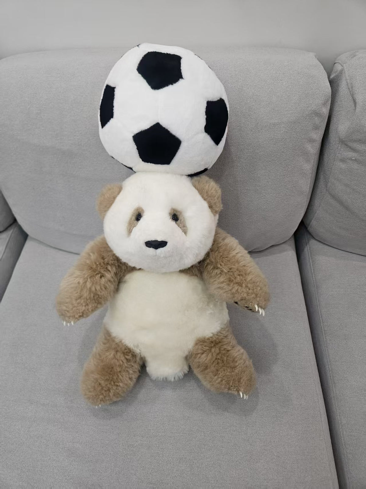 Qi Zai rare brown panda football gift set lifestyle display