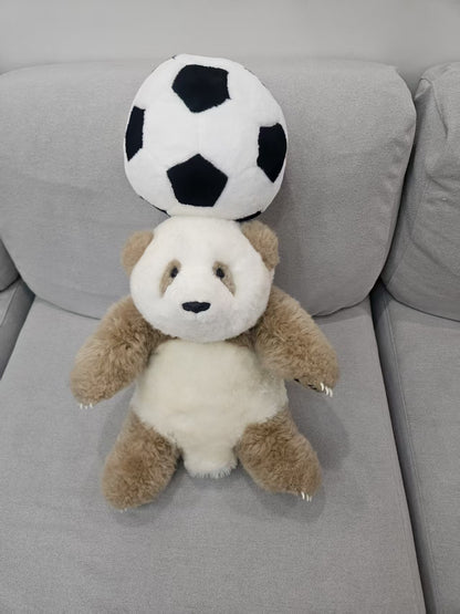 Qi Zai rare brown panda football gift set lifestyle display