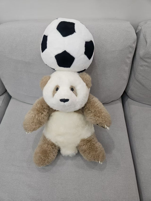 Qi Zai rare brown panda football gift set lifestyle display