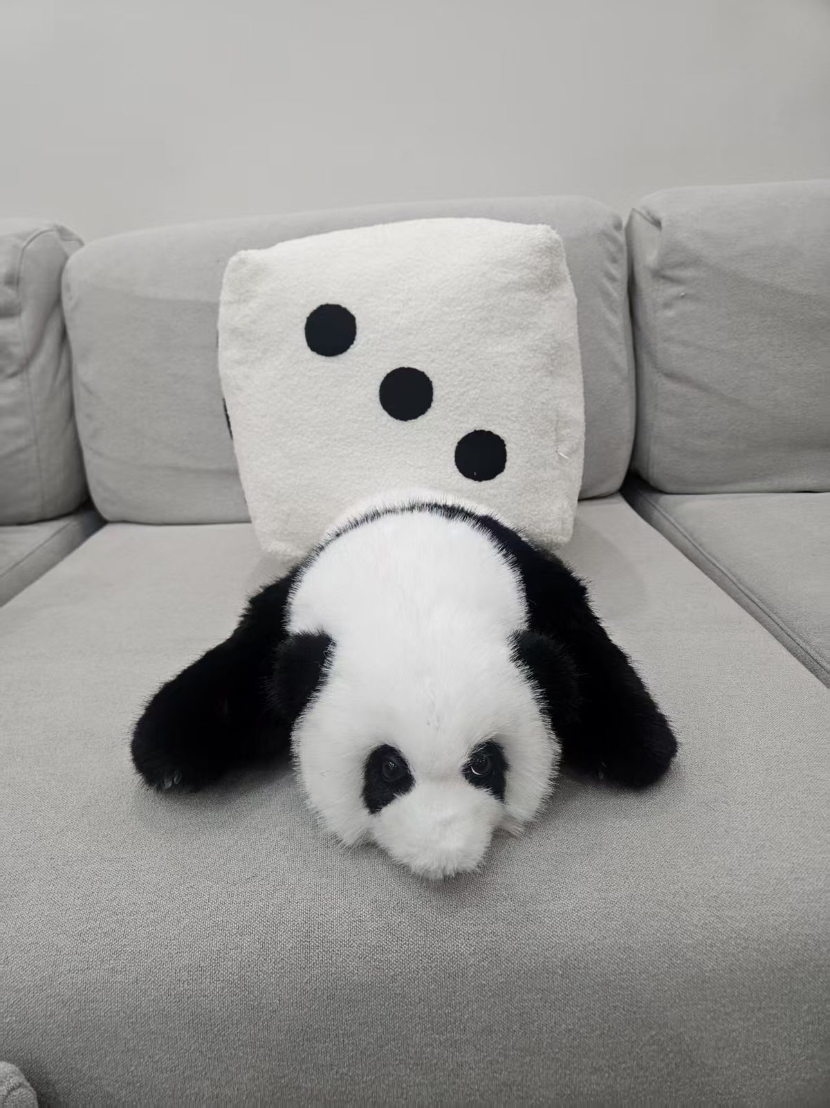 Hua Hua baby panda dice gift set lifestyle display