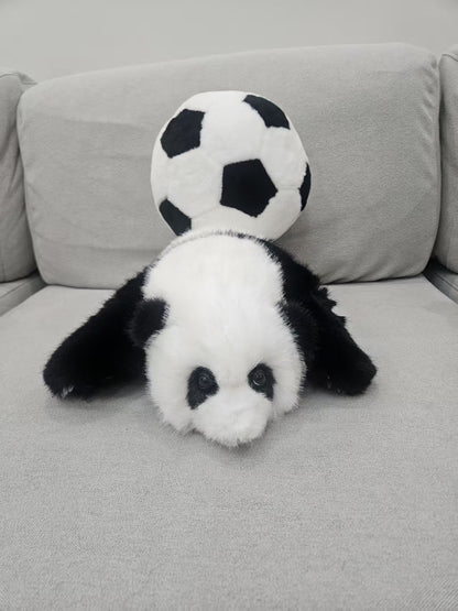 Baby panda football gift set lifestyle display