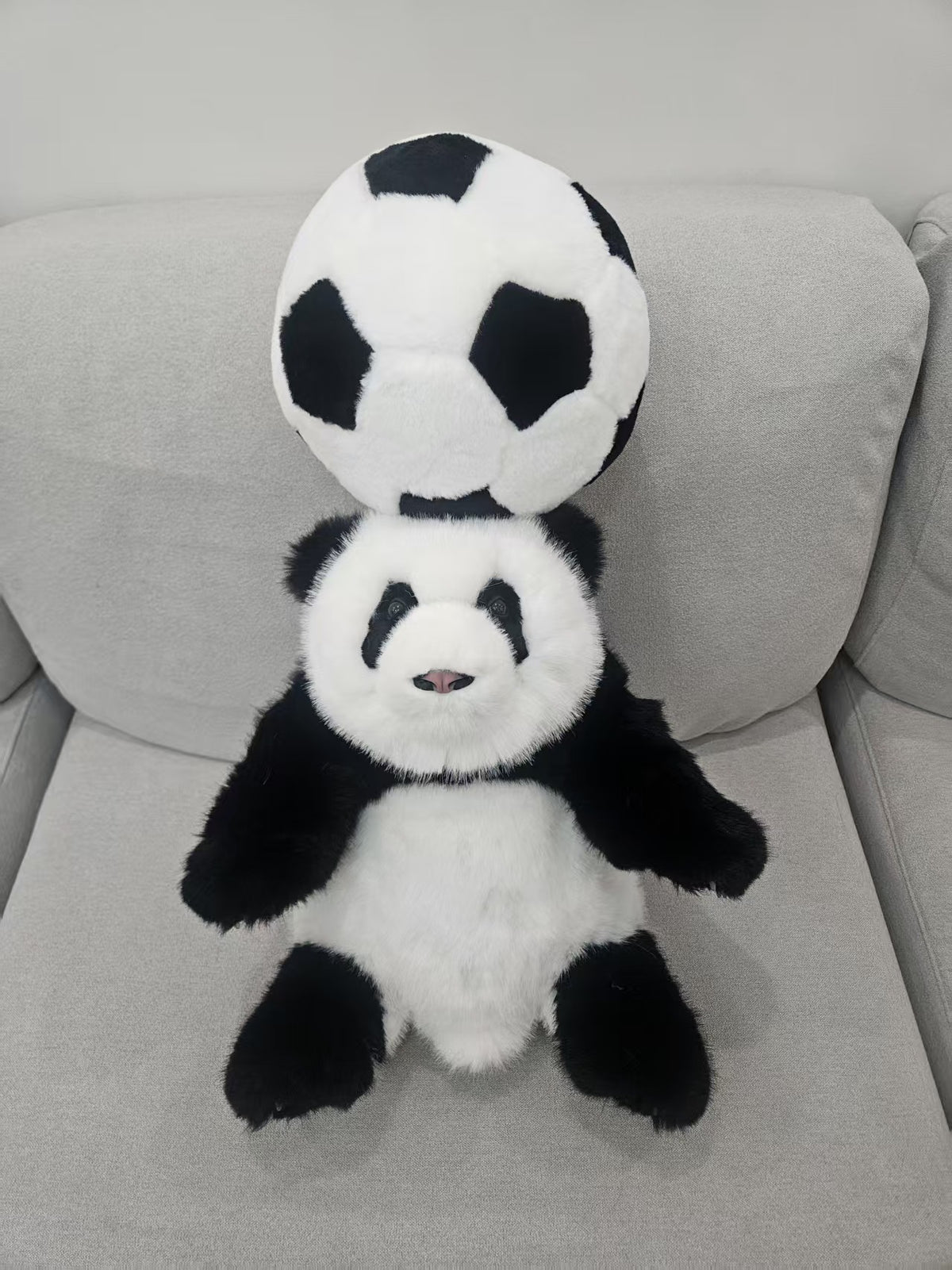 Chengshi panda football gift set lifestyle display