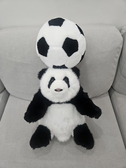 Chengshi panda football gift set lifestyle display