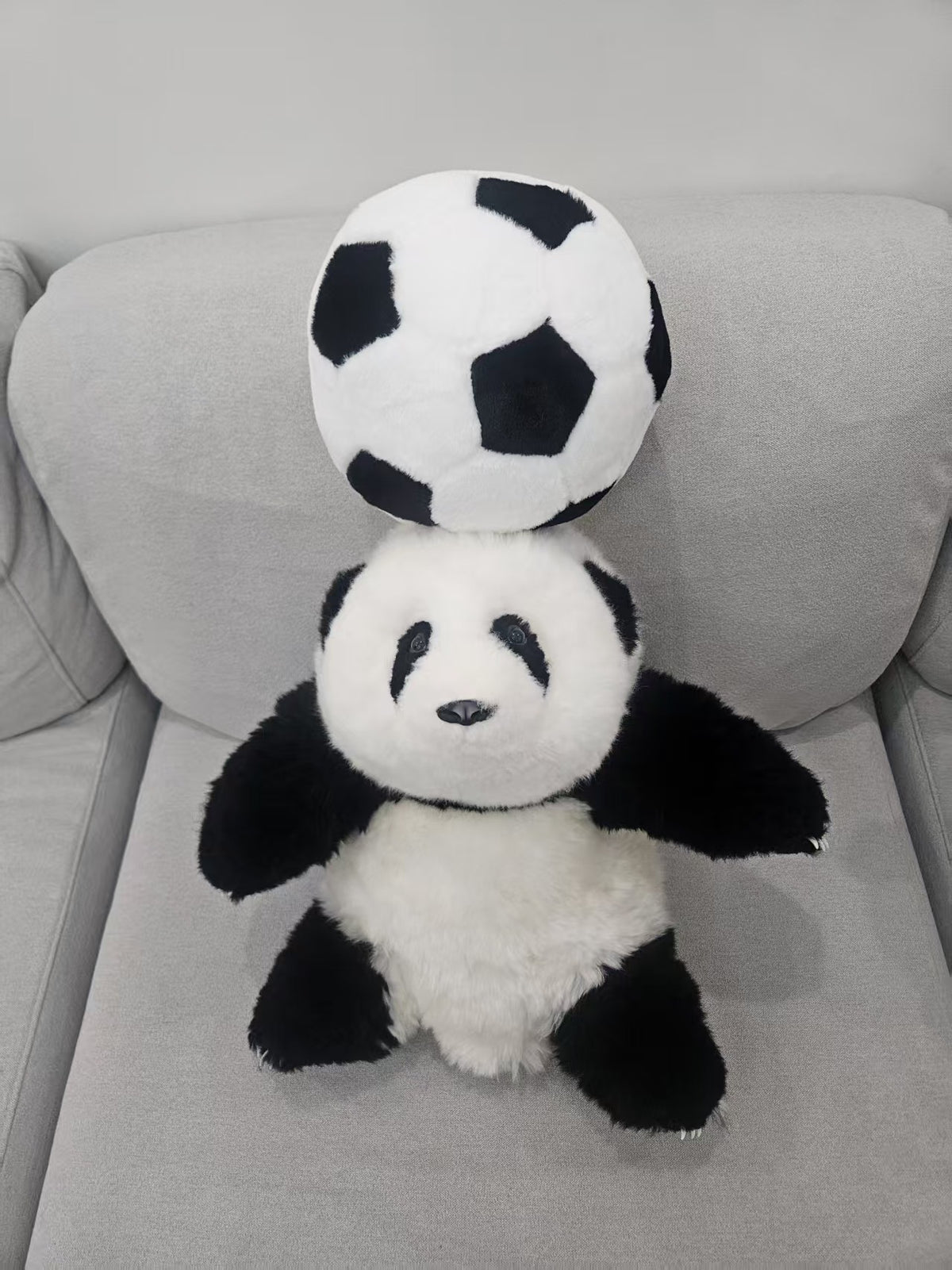 Hua Hua panda football gift set lifestyle display
